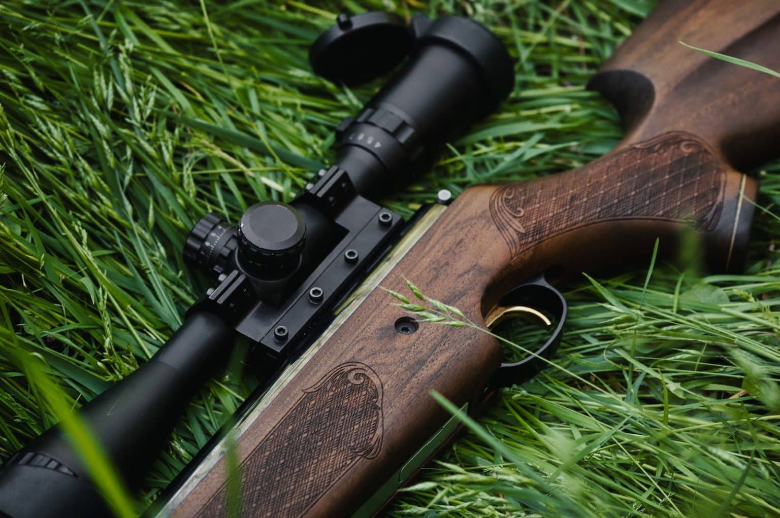 Air Rifles and Pellet Guns Article Image Air Rifles and Pellet Guns Article Image